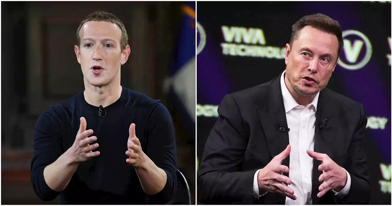 Combattimento tra Musk e Zuckerberg in Italia: 'C'è l'ok di Meloni'. Sgarbi: 'Si faccia al Colosseo, vale 150 milioni'. Calenda: 'Allucinante' - Il Fatto Quotidiano