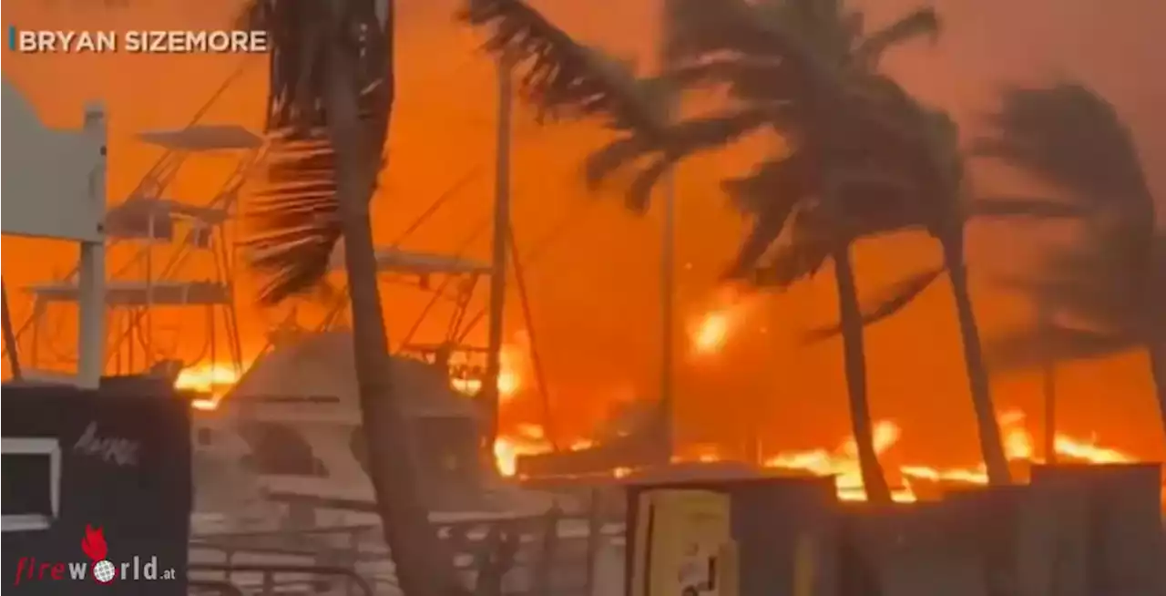 USA: Die Zahl der Todesopfer durch Waldbrände auf Maui steigt weiter an (55) → Waldbrandrisiko hat sich verdoppelt