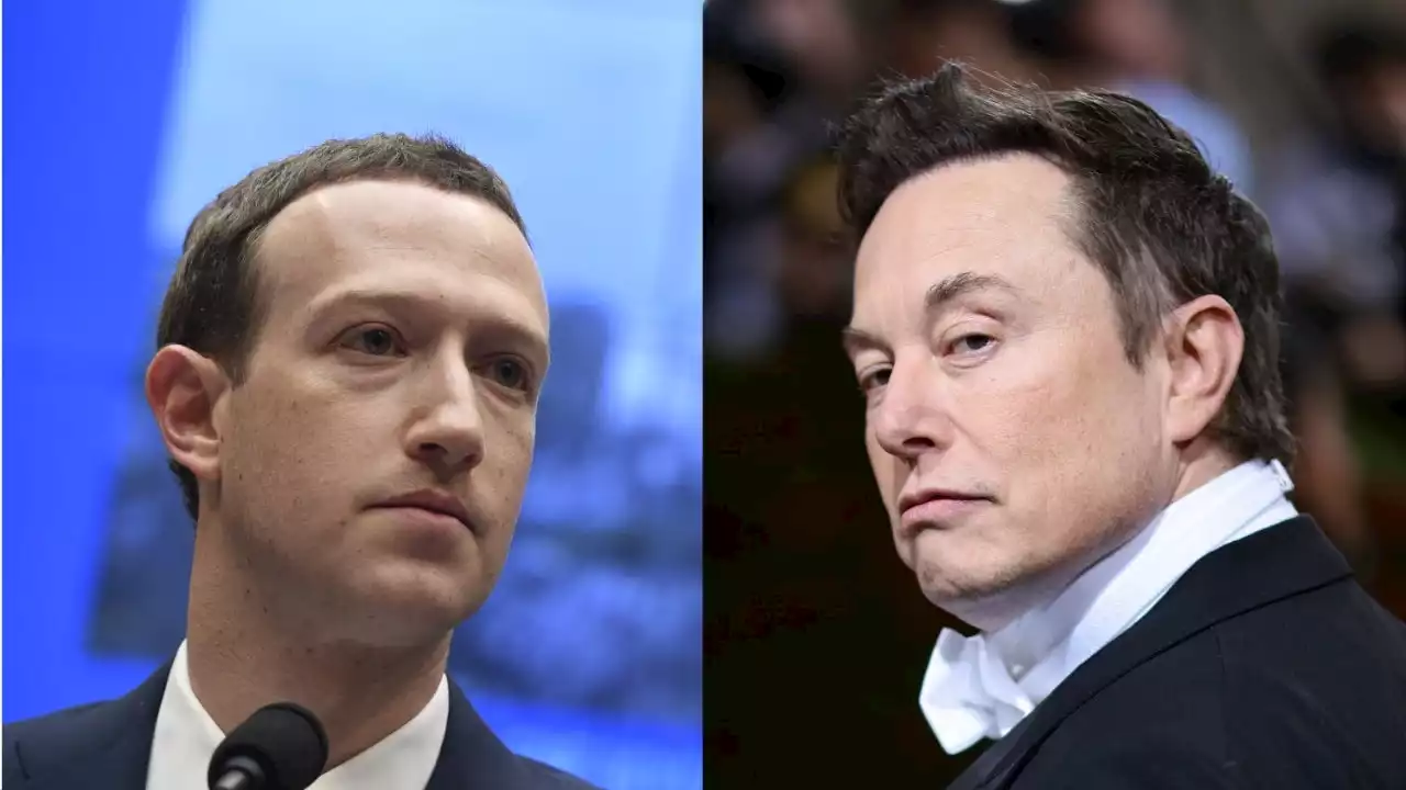 Elon Musk gives update on cage fight with Mark Zuckerberg: ‘Epic location’