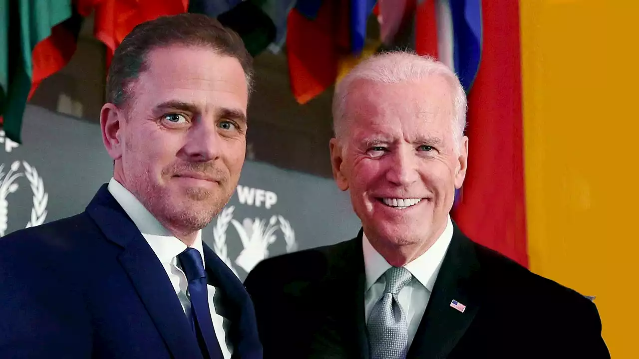 DOJ using Hunter Biden special counsel to 'stonewall' Congress' investigation, GOP lawmaker says