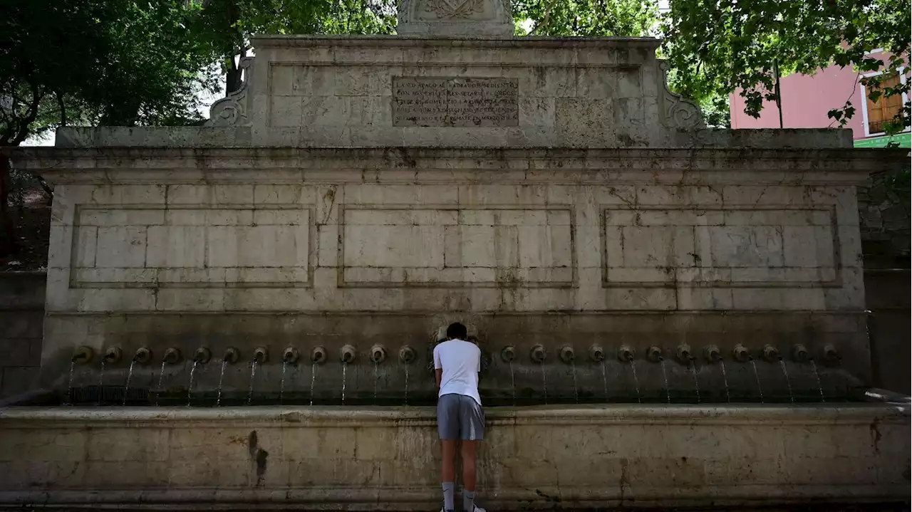 Quatrième jour de canicule en Espagne : le thermomètre frôle 47°C à Valence, un record local