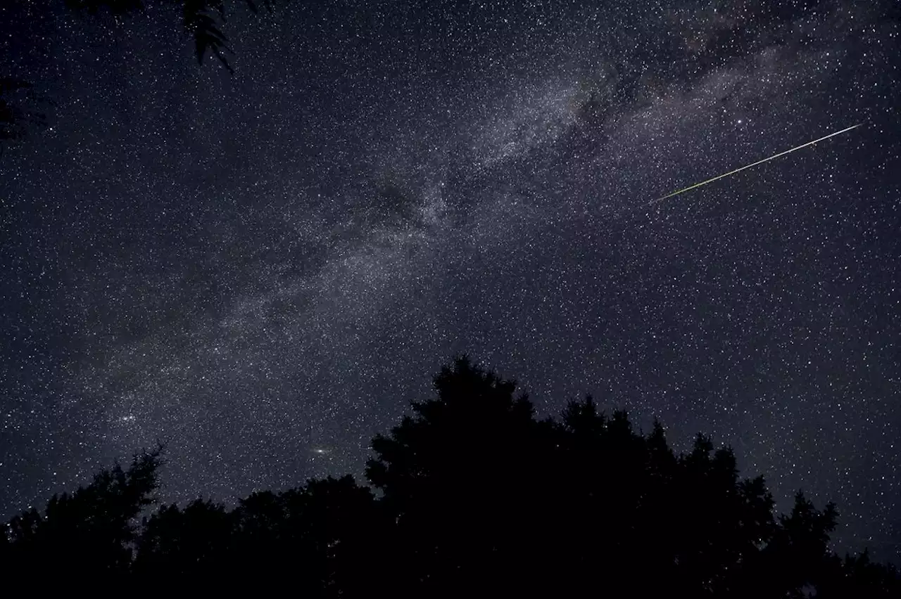 Perseid Meteor Shower to Reach Peak in the Coming Days