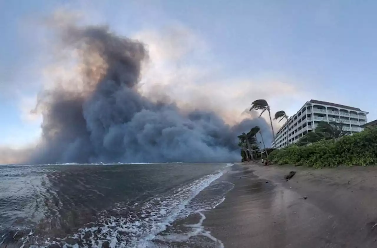 Hawaii wildfires death toll expected to rise, governor says