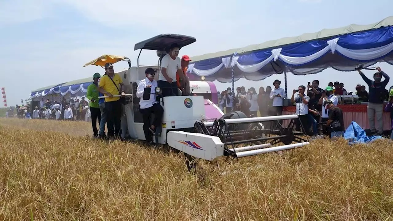 100.000 Hektar Lahan di Kalsel Disiapkan untuk Antisipasi Dampak El Nino