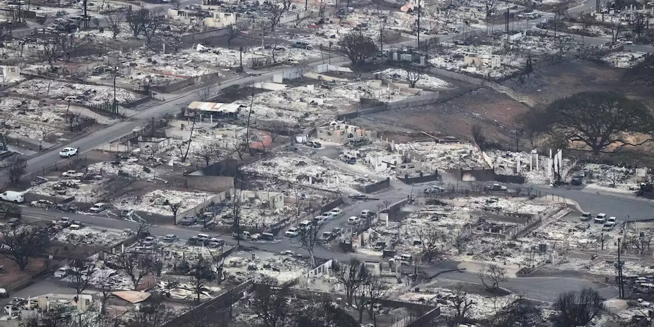 Gli incendi alle Hawaii, il giorno dopo - Il Post