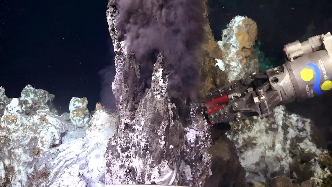 'Dark life' ecosystems are thriving under hydrothermal vents