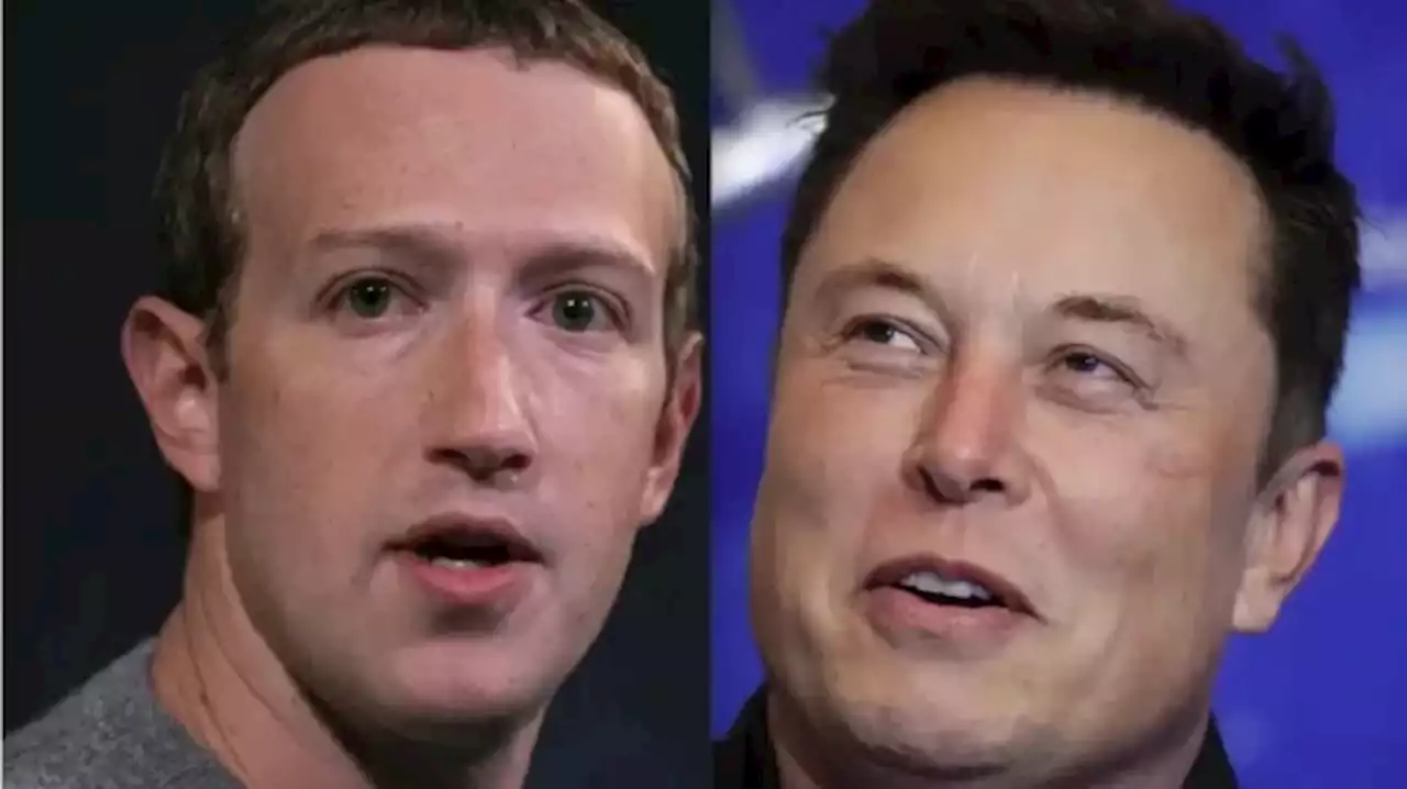 Elon Musk confirmó dónde peleará con Mark Zuckerberg: la sede