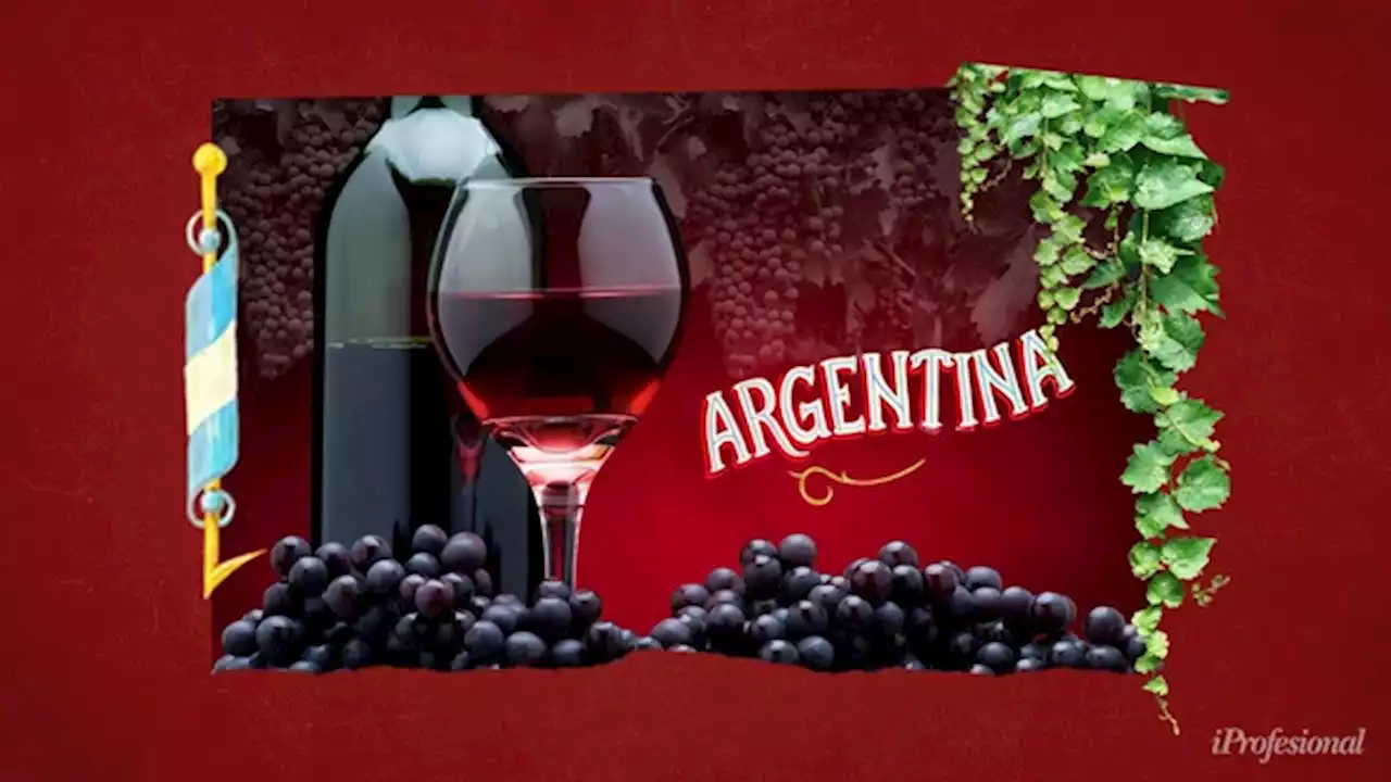 Vinos extremos de Argentina: cuáles probar de Sur a Norte