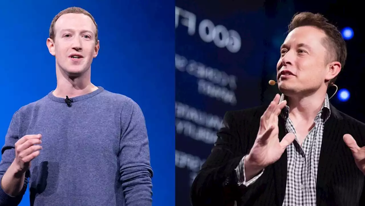 Elon Musk VS Mark Zuckerberg : le combat aura lieu en Italie a déclaré le patron de Tesla