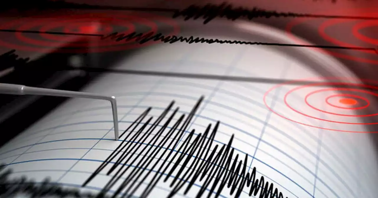 Fuerte temblor en Nueva Zelanda, plena sede del Mundial Femenino