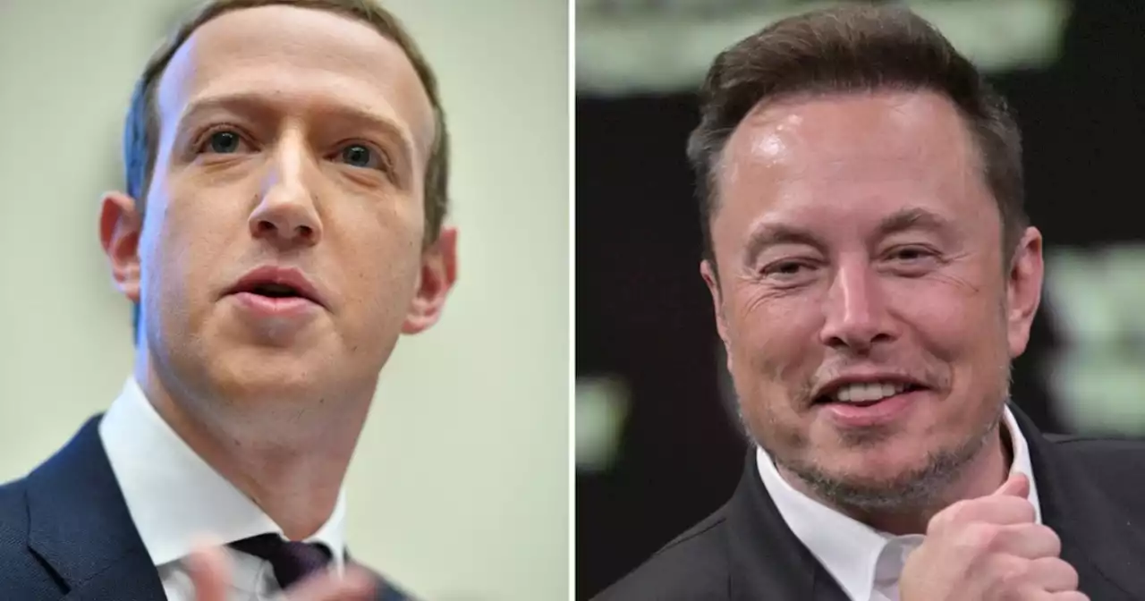 Pelea Musk vs Zuckerberg ya tiene lugar: será una 'ubicación' épica