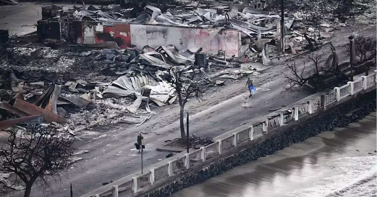 Hawaï : les incendies ont fait au moins 53 morts, selon un nouveau bilan provisoire