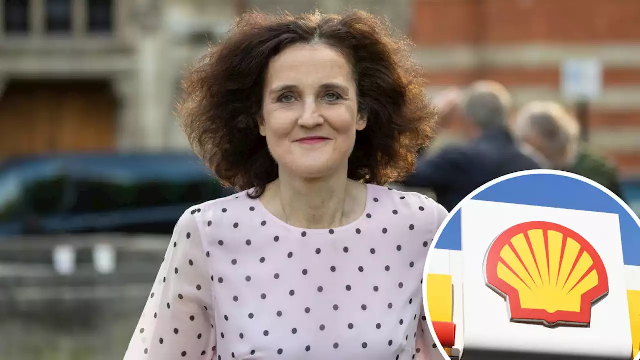 Theresa Villiers failed to declare £70,000 shares in oil giant Shell while she was environment secretary