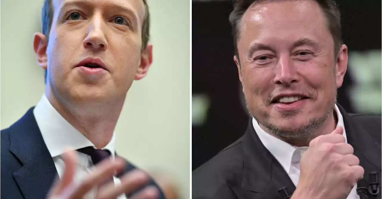 Le combat entre Musk et Zuckerberg dans un 'lieu extraordinaire' en Italie?