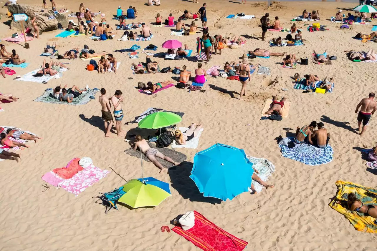 Sotto questo sole | Dieci regole gastronomiche per sopravvivere a una giornata in spiaggia - Linkiesta.it