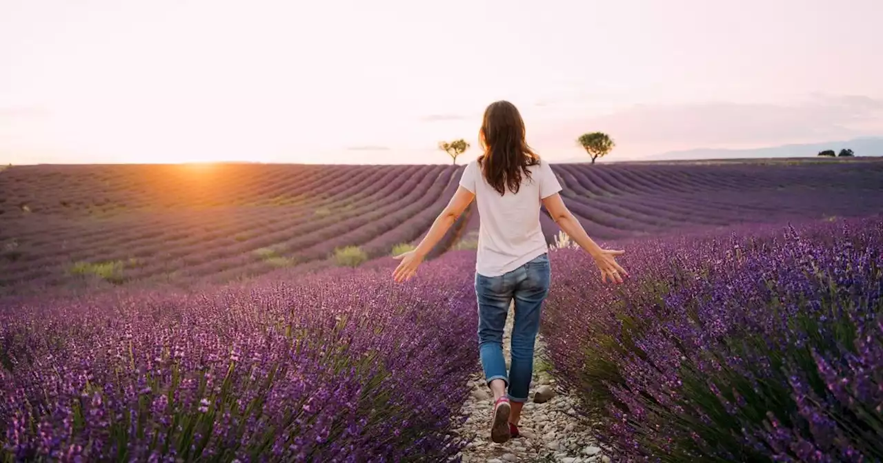 Horoscope de demain : ce que vous réservent les astres pour le samedi 12 août 2023