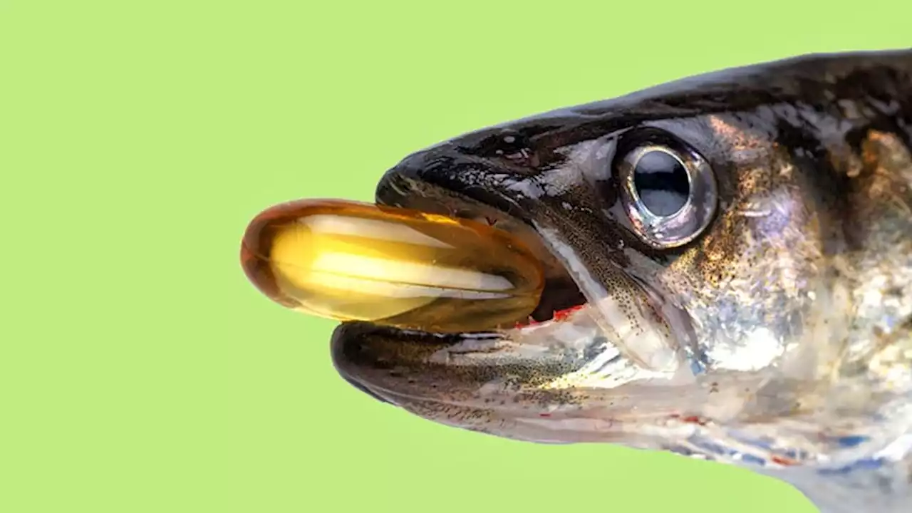 Are Fish Oils on the Hook for AF Risk?