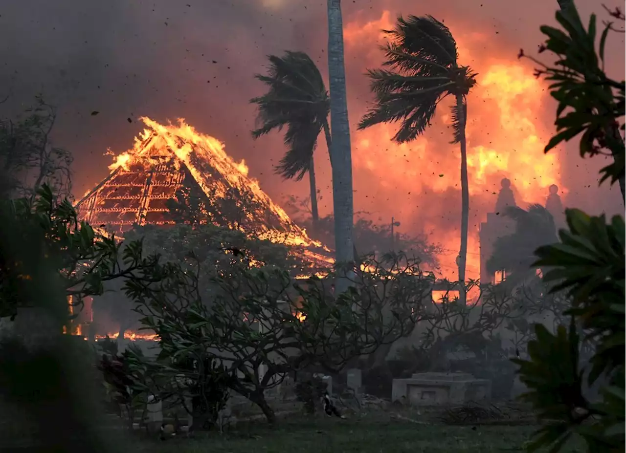 ‘It’s just completely gone’: Harrowing Maui fire escape for Bay Area vacationer