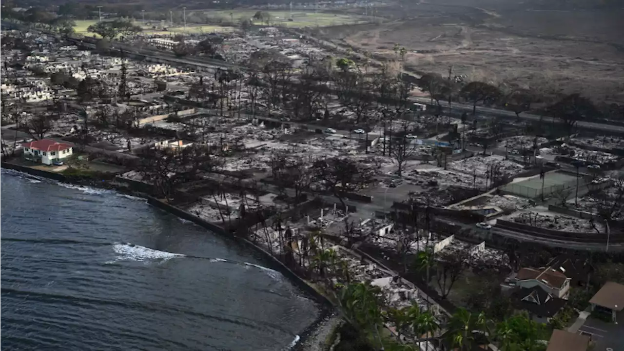 Washington residents, visitors change course as fire decimates parts of Maui