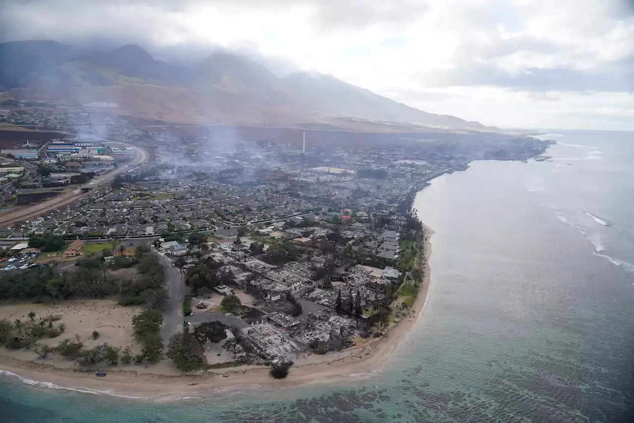 Maui wildfires could dramatically change island's landscape and soil