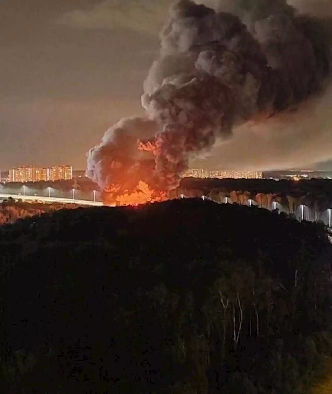 Video shows huge blaze near Moscow as beer warehouse catches fire