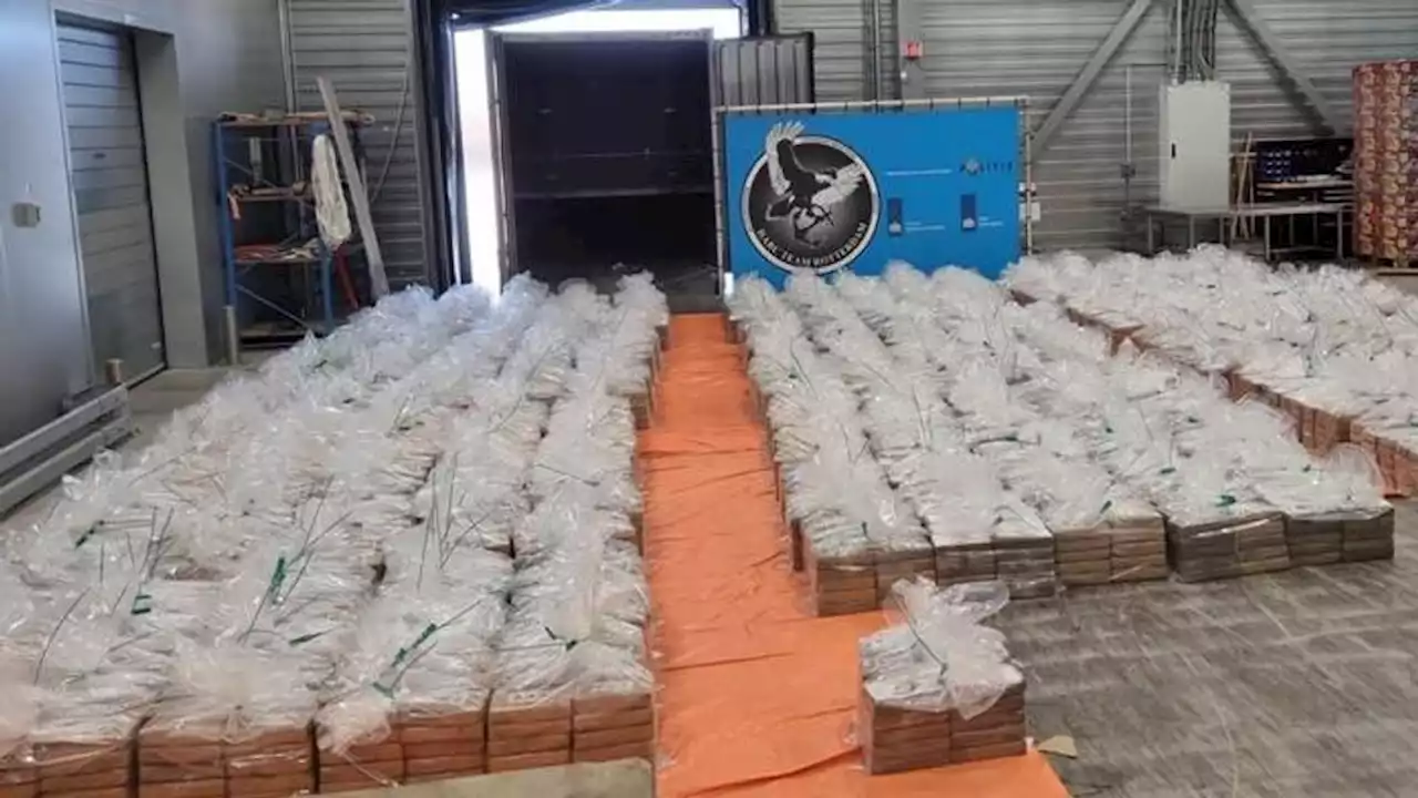 Grootste drugsvangst ooit in Nederland, douane vindt 8000 kilo coke in Rotterdam