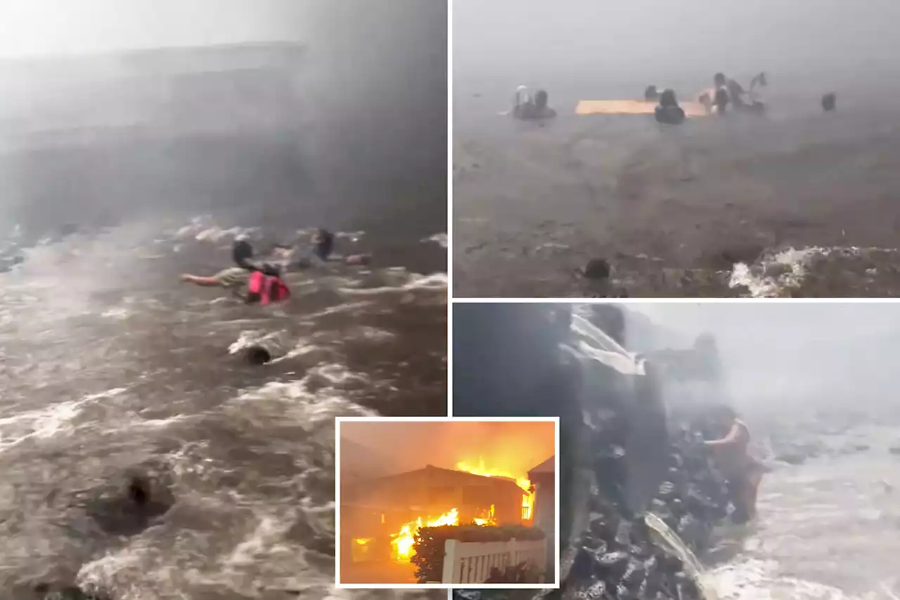 Lahaina residents flee into dangerous ocean to escape wildfires, pulse-pounding video shows