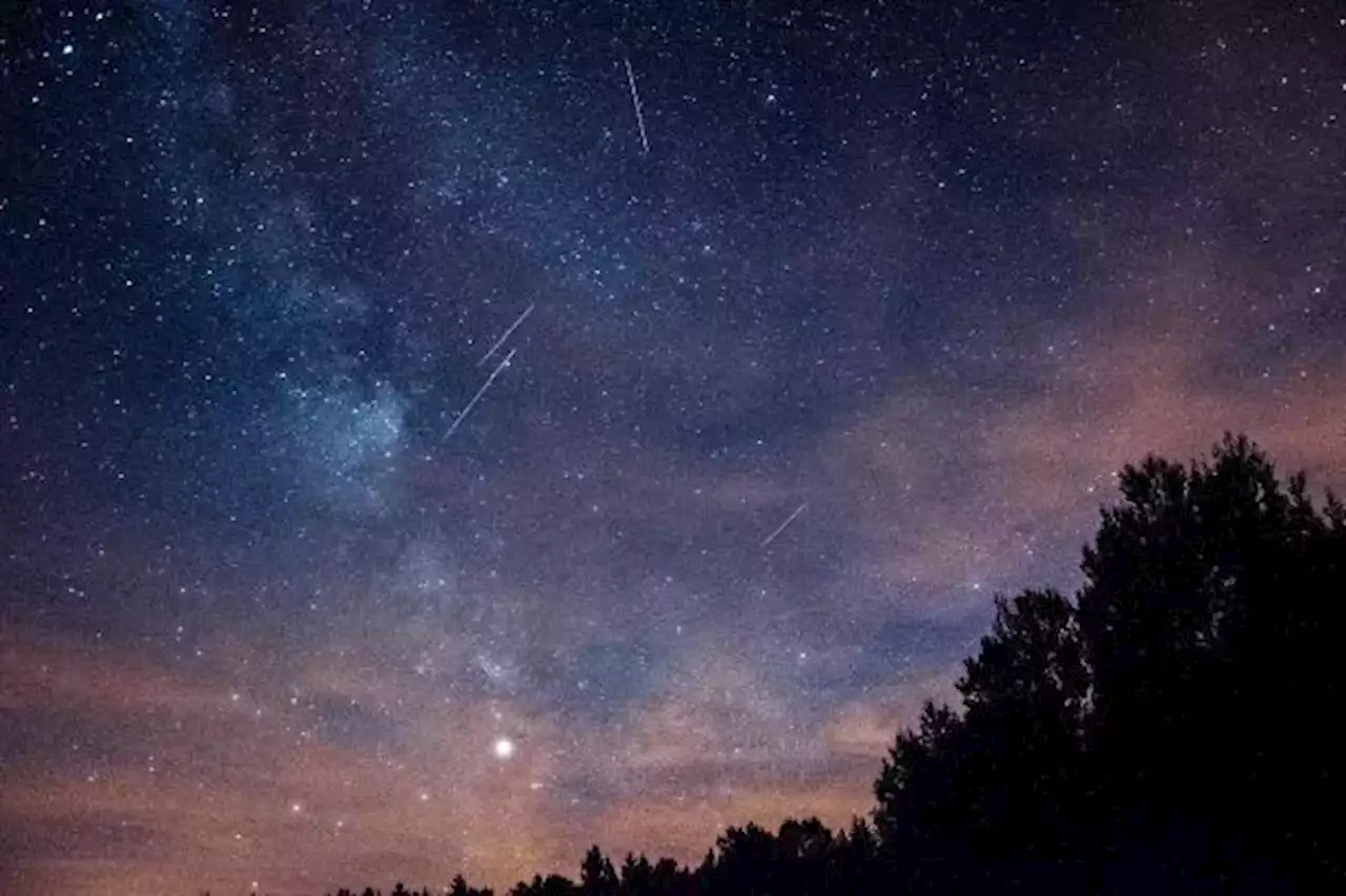 ¡Prepara tus binoculares!: cuándo y cómo ver la lluvia de estrellas de las Perseidas desde México