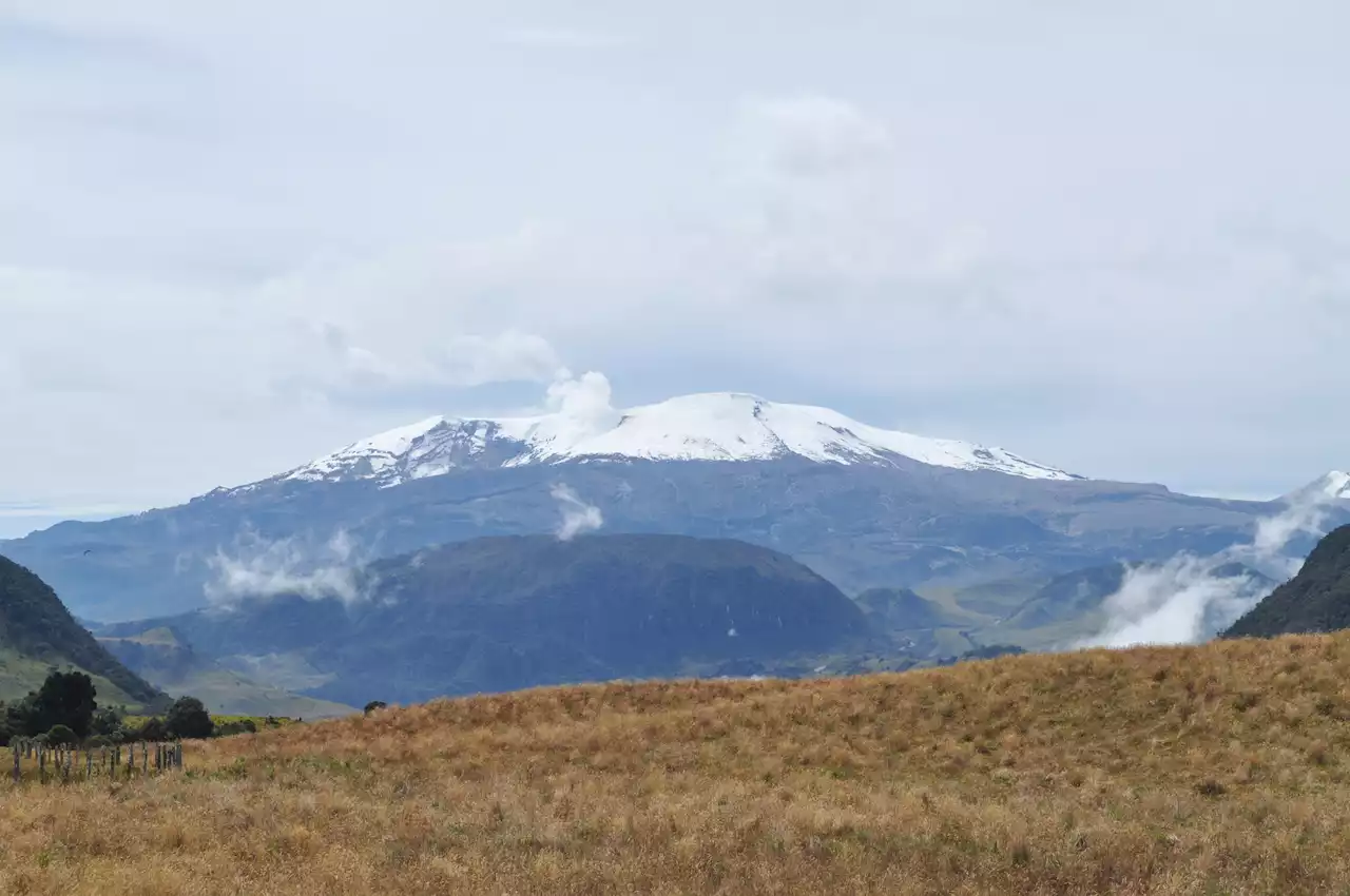 Después de cuatro meses, el Parque Nacional de los Nevados abrió sus puertas al público - Pulzo