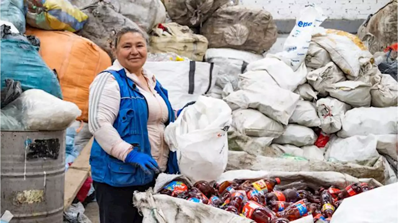 Ofrecen 32 millones de incentivo para recicladores en Bogotá; así podrán participar - Pulzo