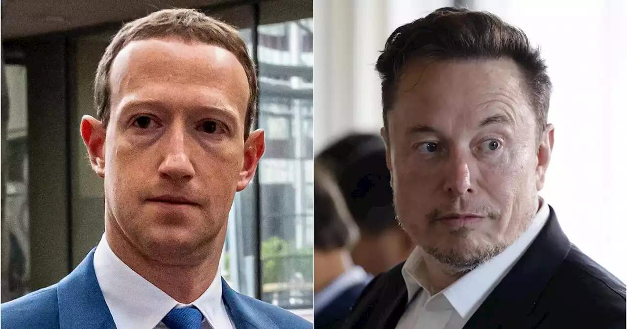 Musk: 'Il combattimento con Zuckerberg in una location epica'. Sangiuliano: 'L'evento non a Roma'