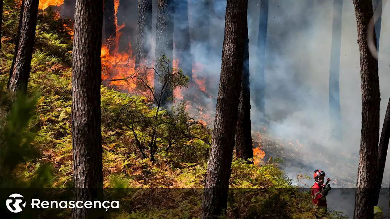 Quase 400 operacionais e 14 meios aéreos combatem incêndio na Covilhã - Renascença