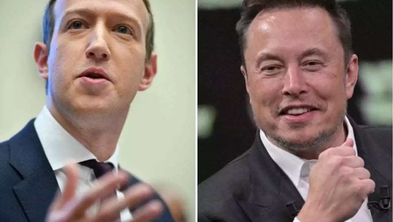 Musk annuncia: 'Ho parlato con Meloni e Sangiuliano. Contro Zuckerberg in un luogo epico'. Il ministro: 'Non a Roma'