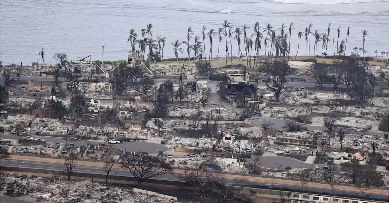 Maui fires: Hawaii death toll hits 55, recovery to take years