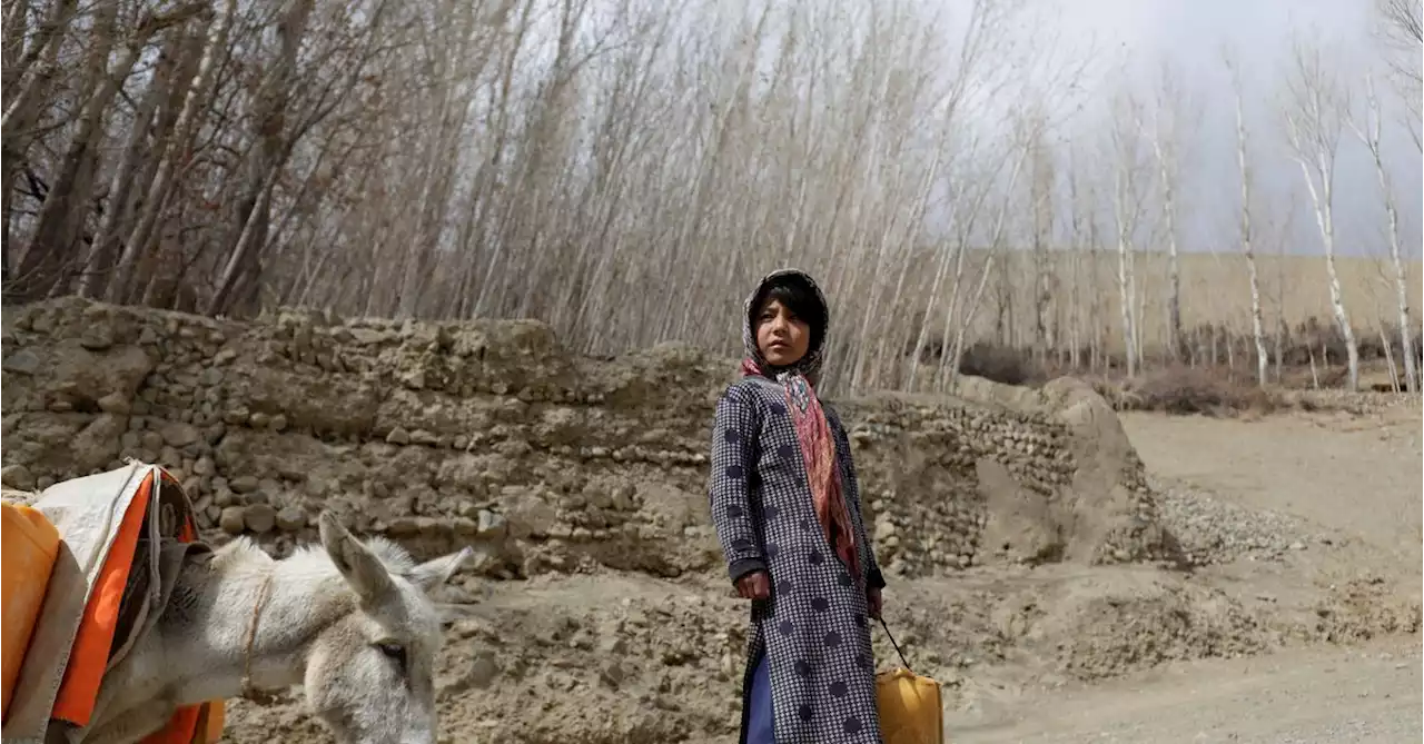 Prolonged drought deepens Afghanistan's humanitarian crisis