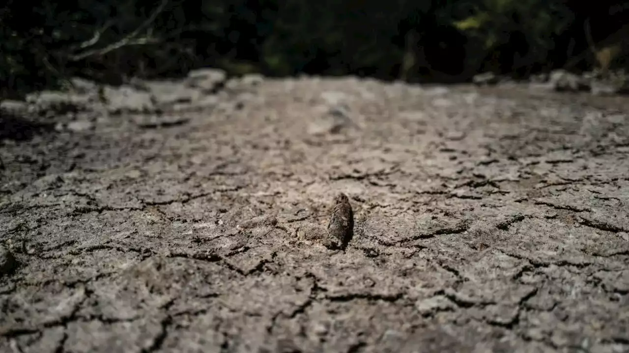 France: malgré les dernières pluies, pourquoi le niveau des nappes phréatiques reste-t-il aussi bas?