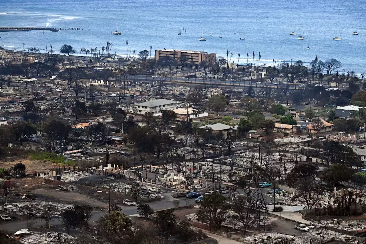 Incendies à Hawaï : au moins 53 morts, selon un bilan provisoire