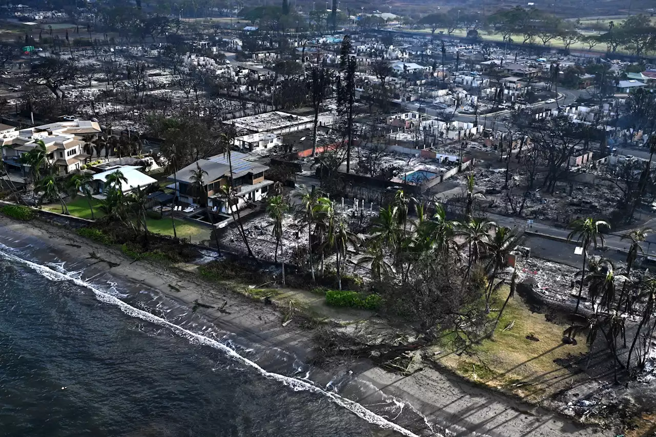 Incendies à Hawaï : 'On se sent complètement abandonnés', confie une touriste française