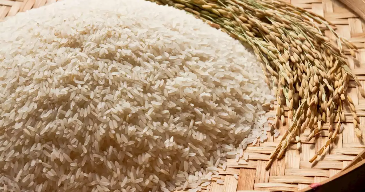 Há quase 15 anos que o arroz não estava tão caro