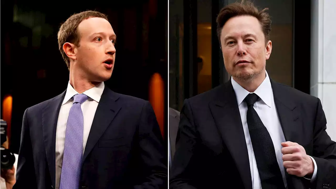 Elon Musk and Mark Zuckerberg's cage fight set to take place in 'epic location'