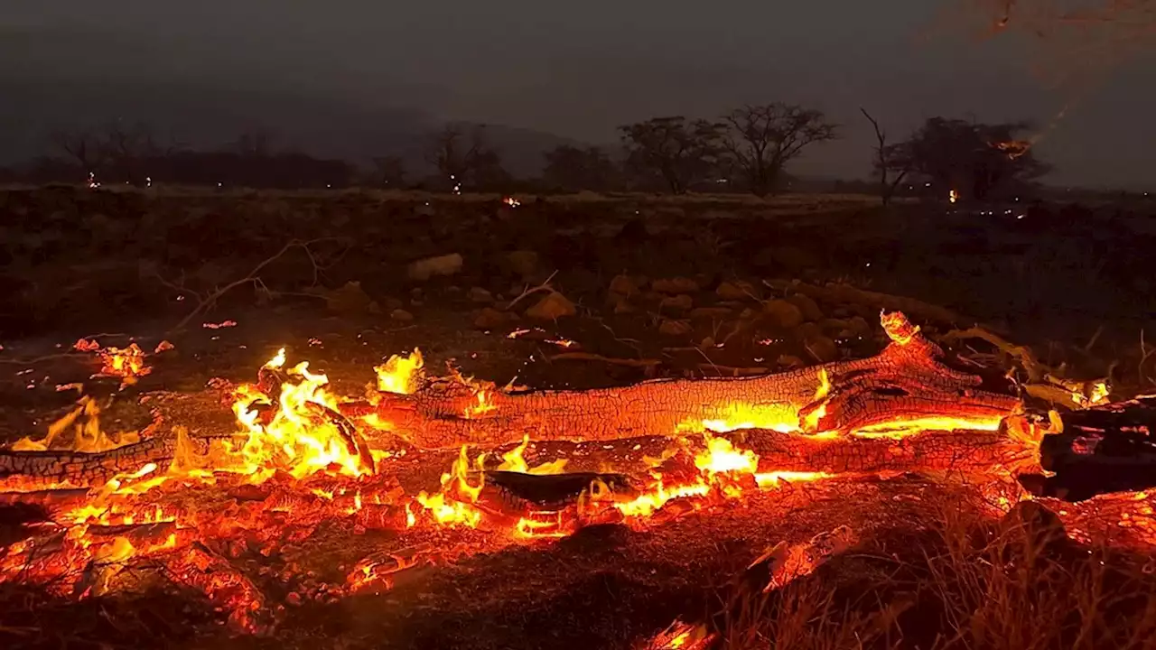 Hawaii fires latest: Deadly flames overtook town 'without warning' as death toll rises to 55