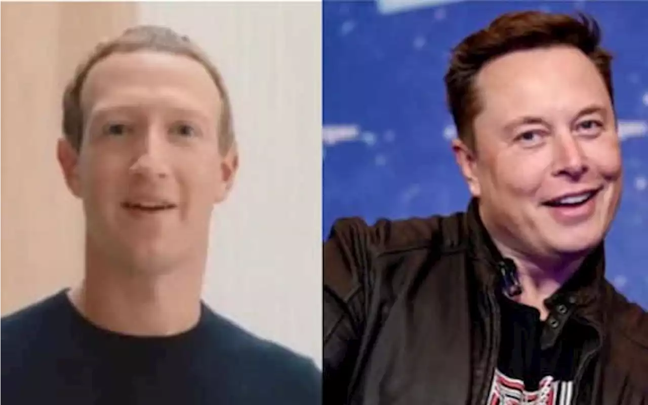 Combattimento Musk-Zuckerberg, svelati nuovi dettagli