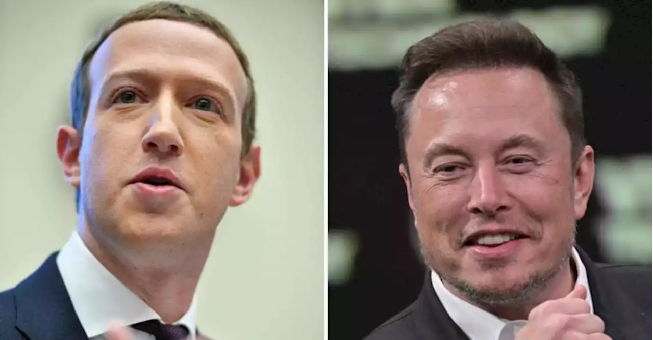 Musk sente Meloni e Sangiuliano per duello con Zuckerberg: sarà in Italia (ma non a Roma)