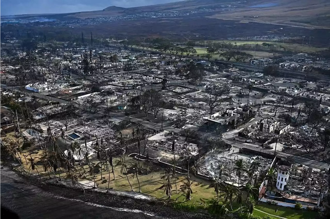 Hawaii’s Maui wildfires death toll rises to 53