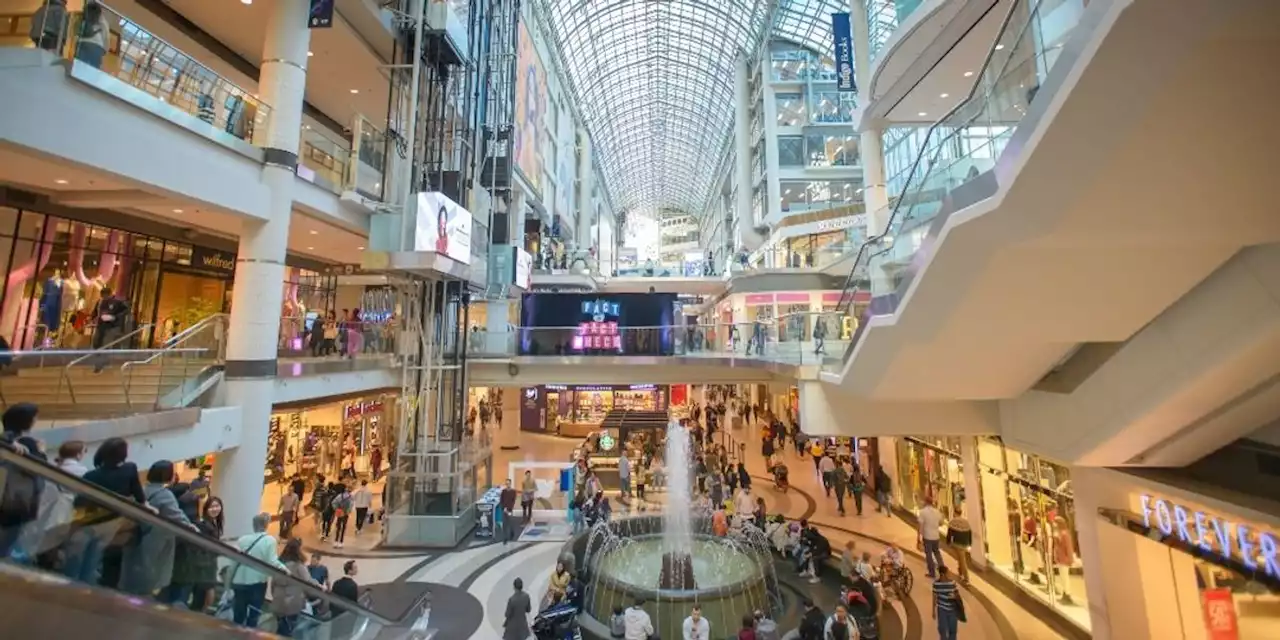 Stable Retail Landscape in Canada Despite Rise of Online Shopping