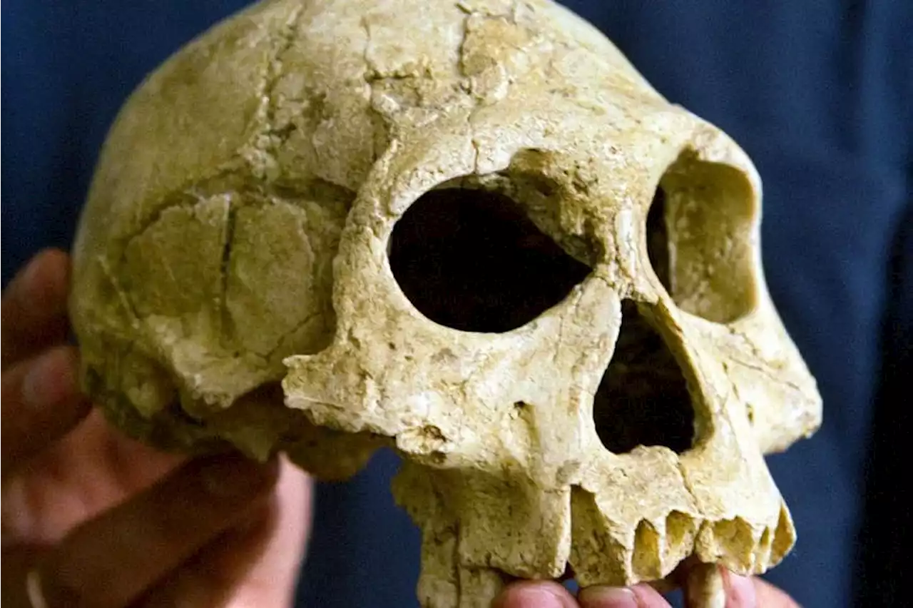 A frigid apocalypse doomed early humans in Europe, study says