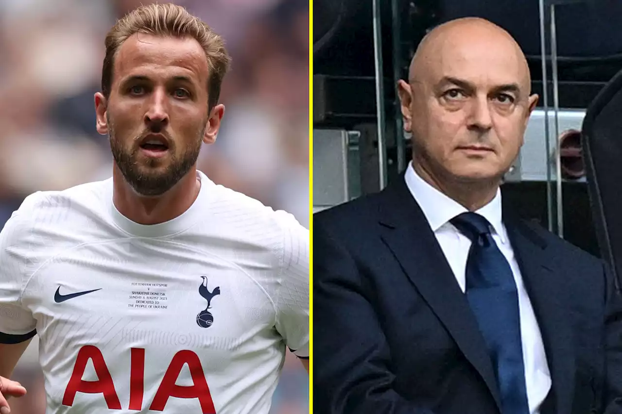 Harry Kane move to Bayern Munich takes fresh twist but Spurs expect deal to go through