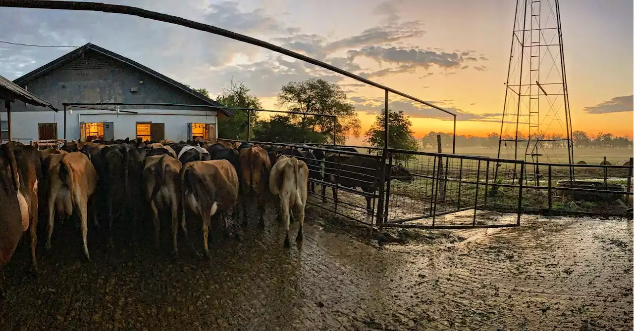 How Extreme Weather Is Affecting U.S. Small Farmers