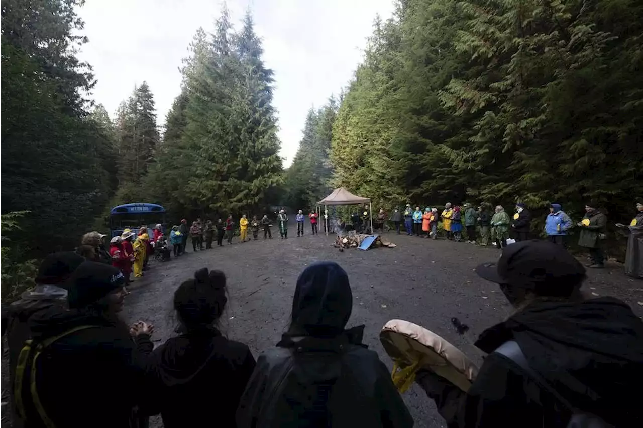 B.C. Prosecution Service Drops 146 Cases Against Old-Growth Logging Protesters