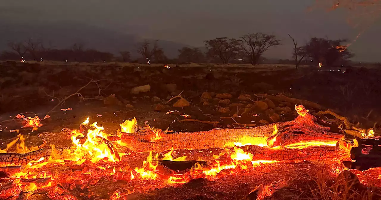 Maui wildfire death toll climbs to 53 as residents evacuate